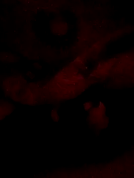 sarahkat86 online show from 20, 2, 2026