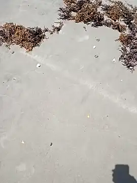 sarahkat86 online show from 6, 4, 2026