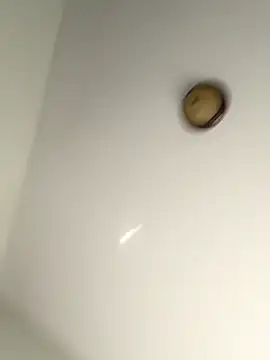 lilcubangoddess online show from 28, 10, 2025