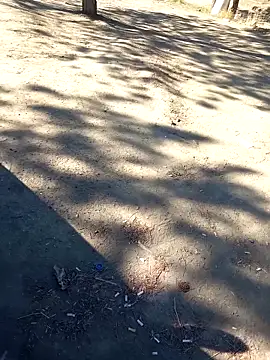 Snapshot of bullut06 chatting on 23, 9, 2025 bullut06 online show from 23, 9, 2025