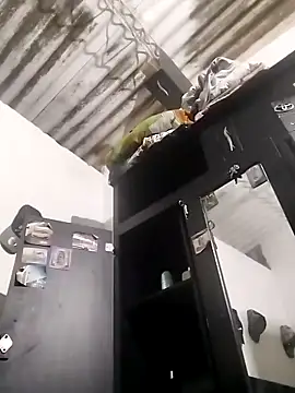 amelie sex online show from 5, 3, 2026