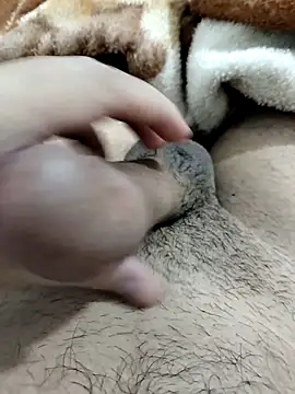 Zepe 12 online show from 16, 2, 2026