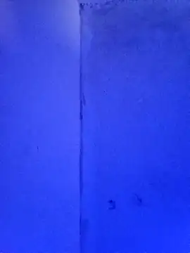 RandalHot online show from 23, 11, 2025