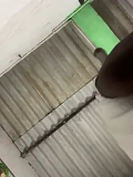 meralund9inch online show from 25, 4, 2026