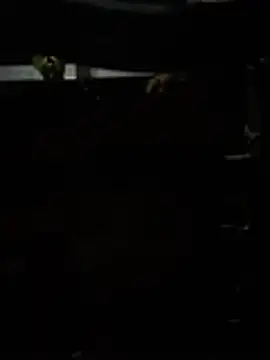 meralund9inch online show from 25, 4, 2026