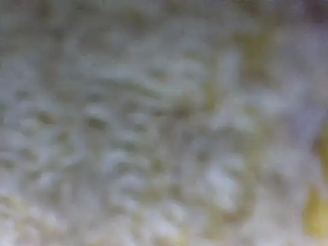 hell1212 25 online show from 21, 3, 2026