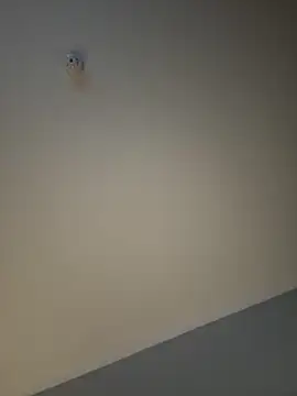 busty p online show from 11, 9, 2025