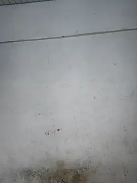 Snapshot of Your-Samayra chatting on 16, 9, 2025 Your-Samayra online show from 16, 9, 2025