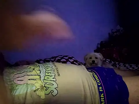 Alexandra23d online show from 2, 10, 2025