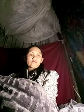 MaiHoa69 online show from 17, 3, 2026