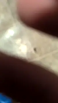 Snapshot of DecimalPoint222InchCock chatting on 10, 11, 2025 DecimalPoint222InchCock online show from 10, 11, 2025