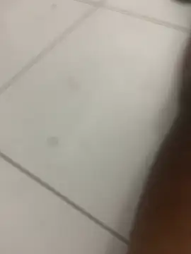 Snapshot of novin21rj chatting on 7, 4, 2026 novin21rj online show from 7, 4, 2026