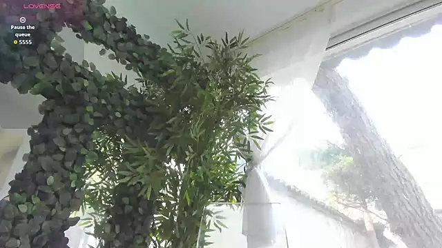 Lexi Storm online show from 11, 4, 2026