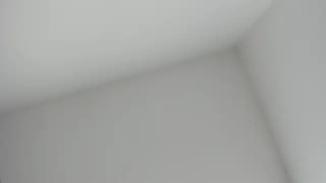 VioletRose as online show from 16, 11, 2025