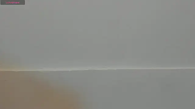 Snapshot of VioletRose_as chatting on 11, 2, 2026 VioletRose as online show from 11, 2, 2026