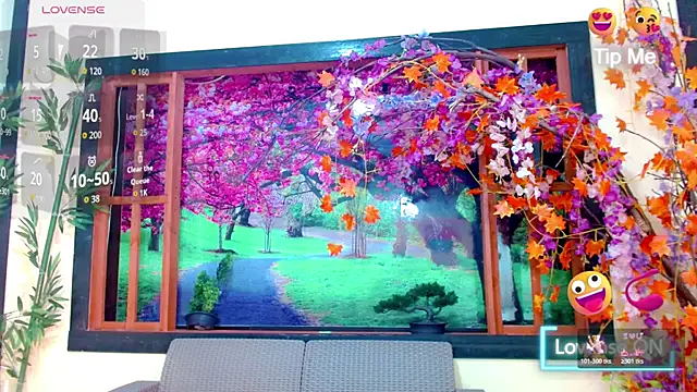 bayolet  online show from 15, 11, 2025