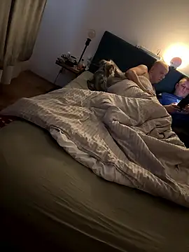 Jaropol online show from 12, 1, 2026