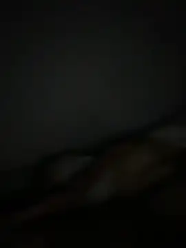 Smallboybigworld online show from 11, 2, 2026