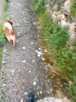 Axelitoc online show from 16, 4, 2026