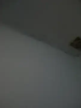 Snapshot of Kriffert chatting on 1, 11, 2025 Kriffert online show from 1, 11, 2025