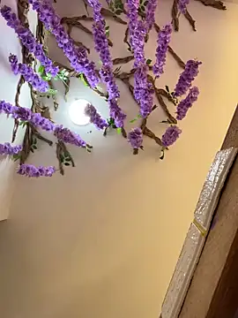 burbuja02 online show from 4, 4, 2026