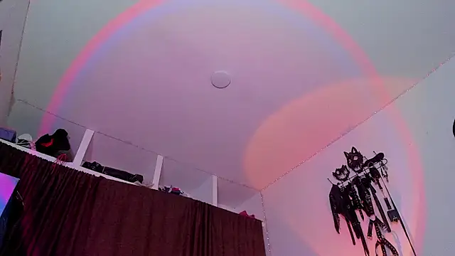 dex 55 online show from 15, 4, 2026