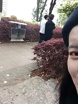 CCAV217 online show from 5, 4, 2026