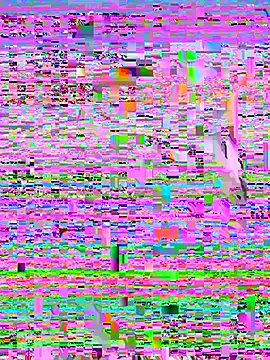 Rouse69  online show from 14, 11, 2025