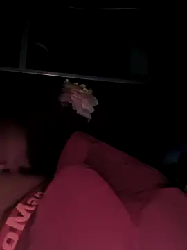 Snapshot of rajdehli chatting on 4, 12, 2025 rajdehli online show from 4, 12, 2025