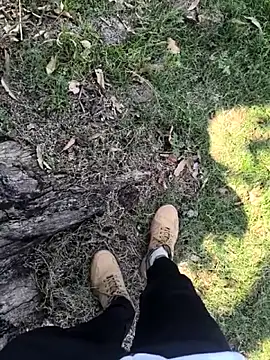 rajdehli online show from 3, 4, 2026