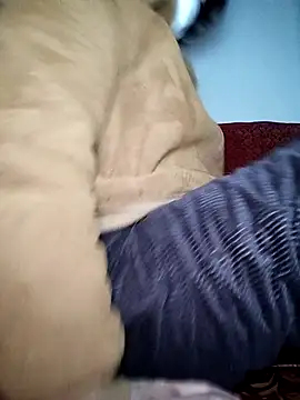 July-Asian online show from 6, 1, 2026