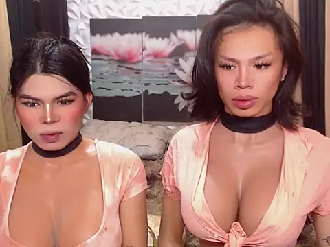 WILDROXIE online show from 16, 12, 2025