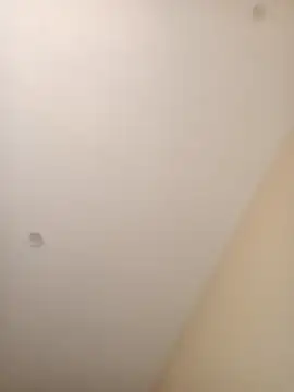 Snapshot of ElBufalo4l chatting on 4, 11, 2025 ElBufalo4l online show from 4, 11, 2025