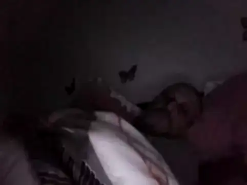 Snapshot of Hisnimin chatting on 18, 2, 2026 Hisnimin online show from 18, 2, 2026