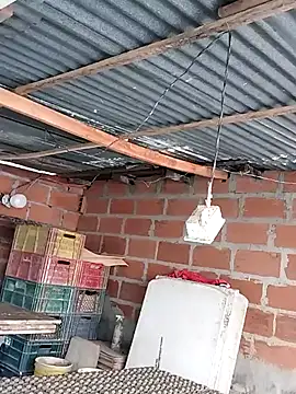 hoteder online show from 4, 12, 2025