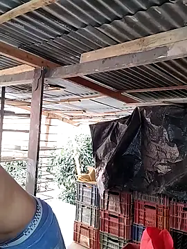 hoteder online show from 24, 2, 2026