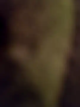 lucho2328 online show from 17, 9, 2025