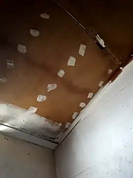 lucho2328 online show from 30, 9, 2025