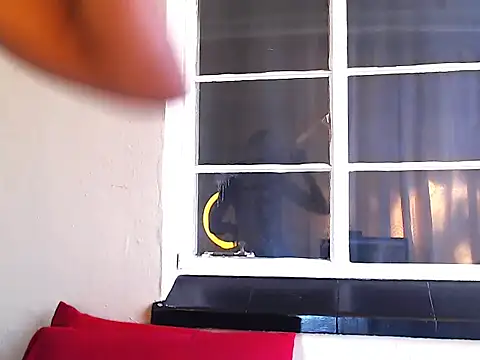 PetiteEbonyBabe online show from 9, 10, 2025