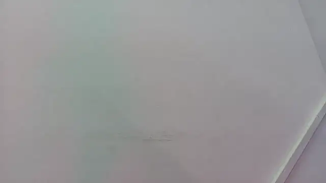 Lizbeth Rouse online show from 21, 11, 2025