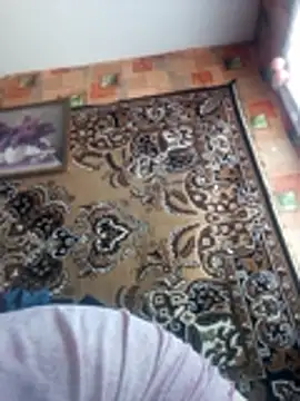 Romashka33011 online show from 2, 3, 2026