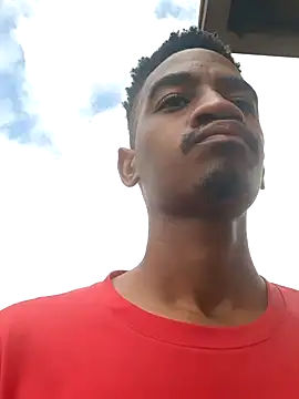 gemini loops online show from 15, 1, 2026