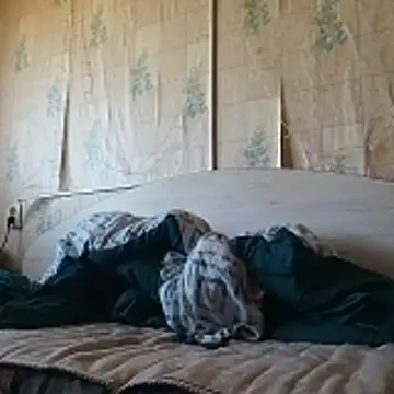 Snapshot of Tupo070481 chatting on 14, 4, 2026 Tupo070481 online show from 14, 4, 2026