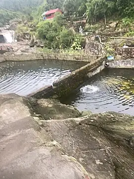 PhanHaa online show from 10, 11, 2025