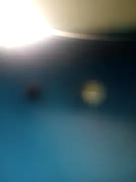 Sonya51561 online show from 1, 12, 2025