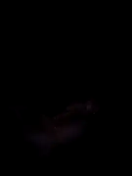 Harini Gautam online show from 27, 9, 2025