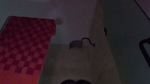 TallDrink11 online show from 29, 9, 2025