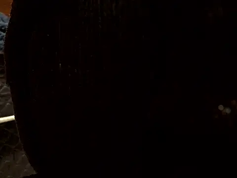 Snapshot of Kushzin chatting on 9, 4, 2026 Kushzin online show from 9, 4, 2026