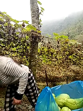 quynhkoolbae online show from 22, 12, 2025