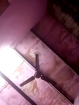 TINASONI online show from 5, 4, 2026